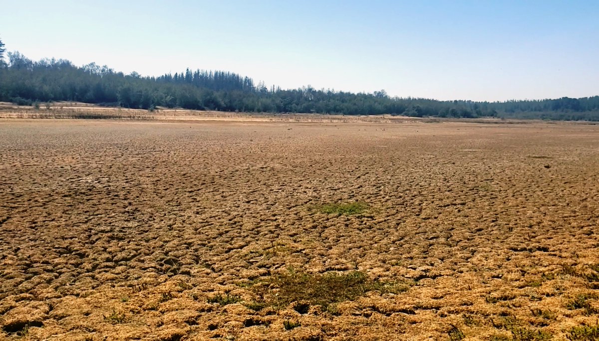 sitiodelsuceso's tweet photo. ¡Está a punto de desaparecer!: Lago Peñuelas registra menos del 0,01% de su capacidad. Detalles en https://t.co/Gefbm5Fbae https://t.co/r7EvvWWKVJ