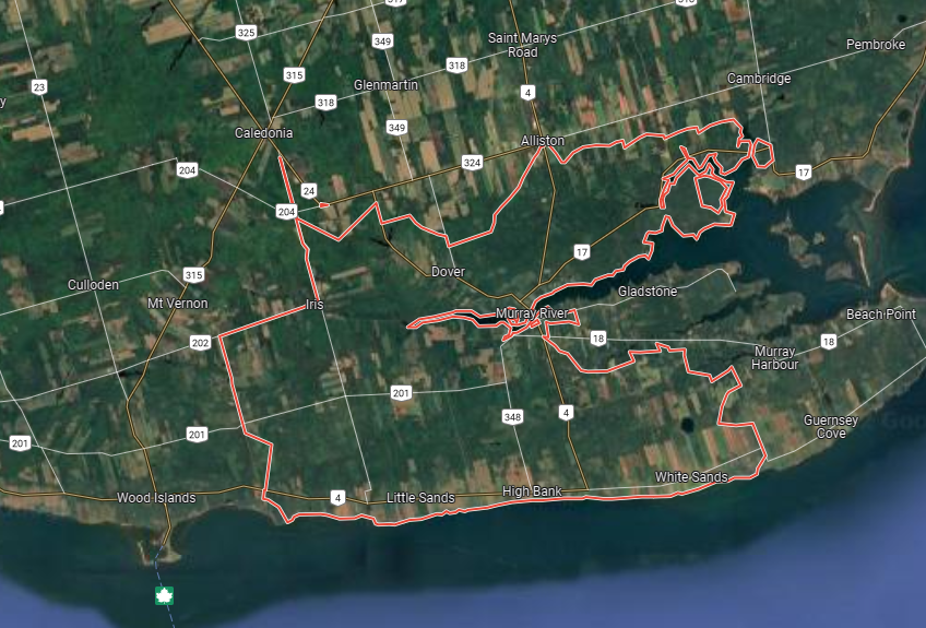 ani tweet media
