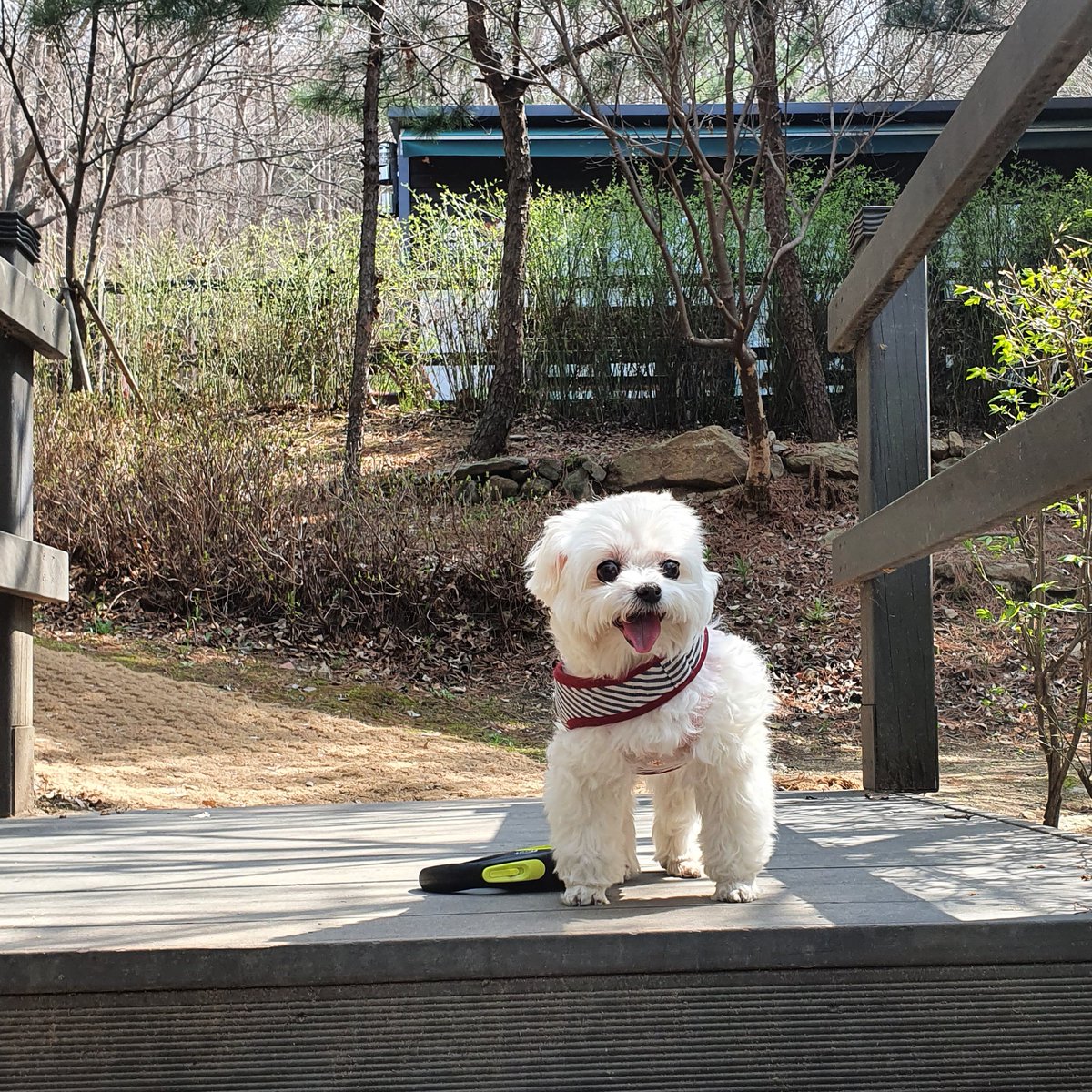 todaypopcorn's tweet photo. 히히 https://t.co/Rqk90pjXSS