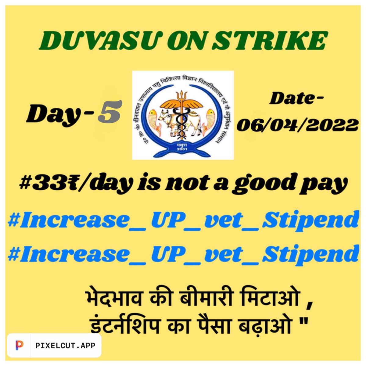 1000 में दम नही,MBBS से कम नही
#Increase_UP_vets_stipend
#Duvasu_Vet_Stipend <a href="/dharampalbjpmla/">Dharampal Singh</a> <a href="/girirajsinghbjp/">Giriraj Singh</a> 
<a href="/myogiadityanath/">Yogi Adityanath</a> <a href="/PMOIndia/">PMO India</a> <a href="/presidentVCI/">Dr. Umesh C Sharma</a> <a href="/PRupala/">Parshottam Rupala</a> <a href="/drsanjeevbalyan/">Dr. Sanjeev Balyan</a> <a href="/rakesh22440/">Dr R K Shukla</a> @dmmathura7512 <a href="/ptshrikant/">Shrikant Sharma</a> <a href="/Hemamalinimp_ls/">HemaMaliniMP_Office</a> <a href="/ncbjp_laxmi/">Laxmi N Chaudhary</a> <a href="/Chirantan200/">Dr.Chirantan Kadian</a> <a href="/IndrajitSinghC4/">Indrajit Singh Chaudhary</a>