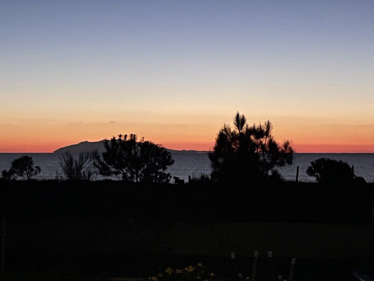 SCappuri's tweet image. Bonjour…!!! 🤩