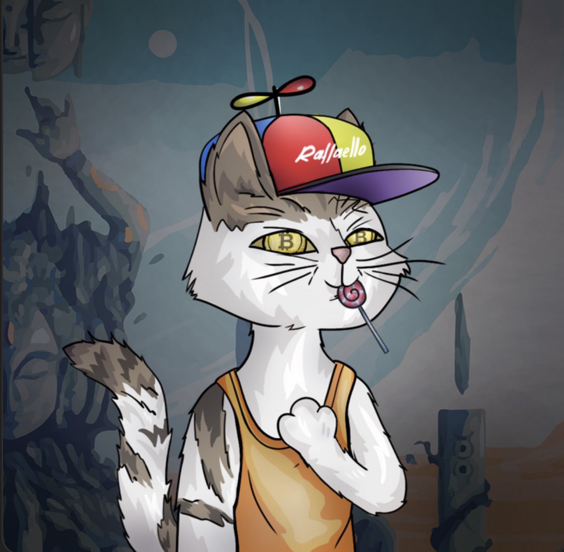 Trey Boi tweet media