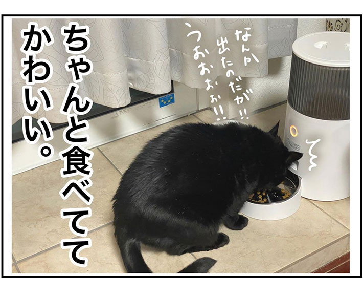 「もうなんでもかわいい」 猫用に『自動給餌器』を取り入れてみたらすぐに? https://t.co/wX57xw9vJY @grapeejpより 