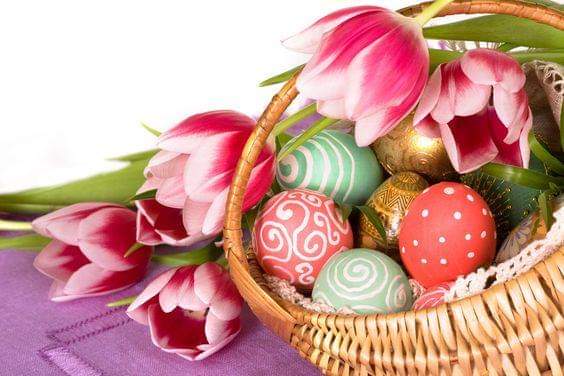 OneYFilms's tweet photo. ππ·ππ₯Only 11 Days Until Easter Sunday π₯ππ·π#HappySpring #ThinkEaster πβ¨ https://t.co/LDS5nOejGo