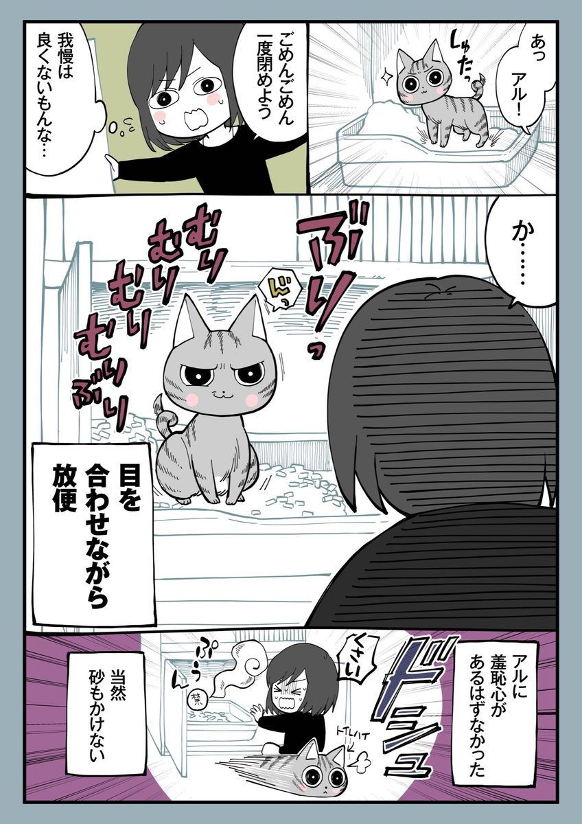 6.猫の羞恥心

明日も17時更新!5Pあるよ🐈
#漫画が読めるハッシュタグ 