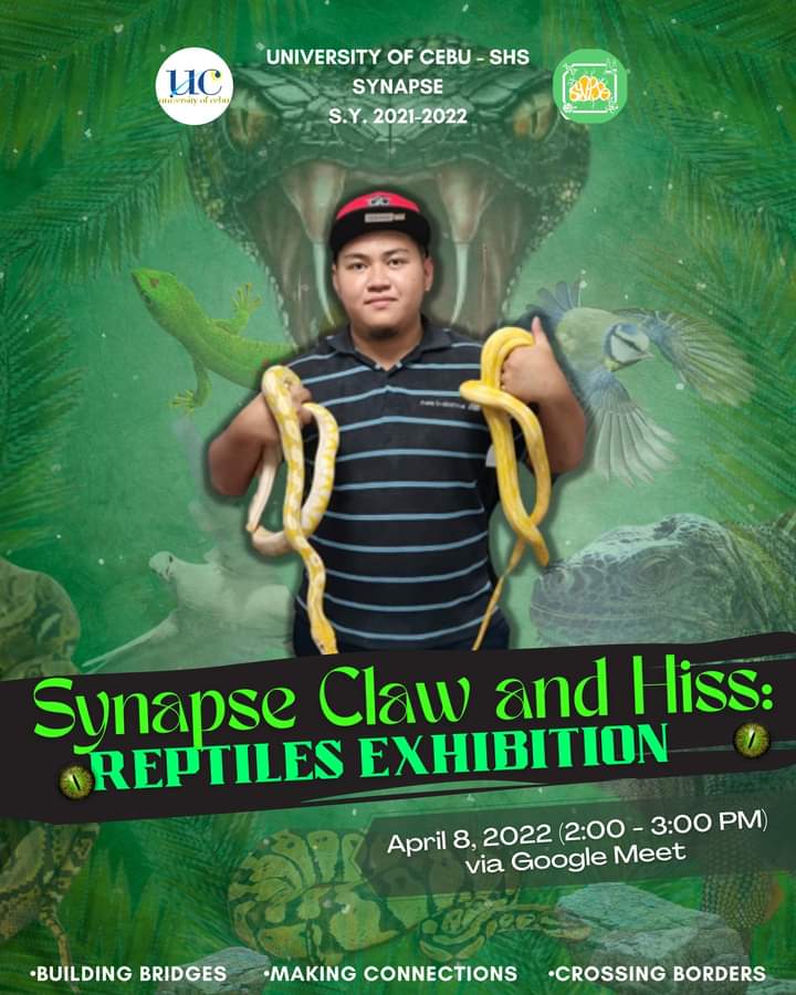 synapseucpri's tweet photo. Reptiles can be pets too! 

Get ready to tighten your seats as we take you to a jungle-life experience this April 8, 2022! Our Synapse's Men and Marshalls Assistant Head, Janmel, together with his personally-owned wild favorites; Snakes and Iguanas will steer our first-ever https://t.co/oVnJnTfOEC