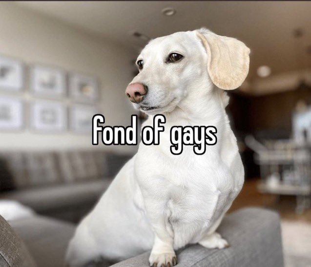 mandofiIms's tweet photo. idk what i’ll do with it but if you don’t follow me on @weekndinIove yet go do that https://t.co/k3LT6h9p7N