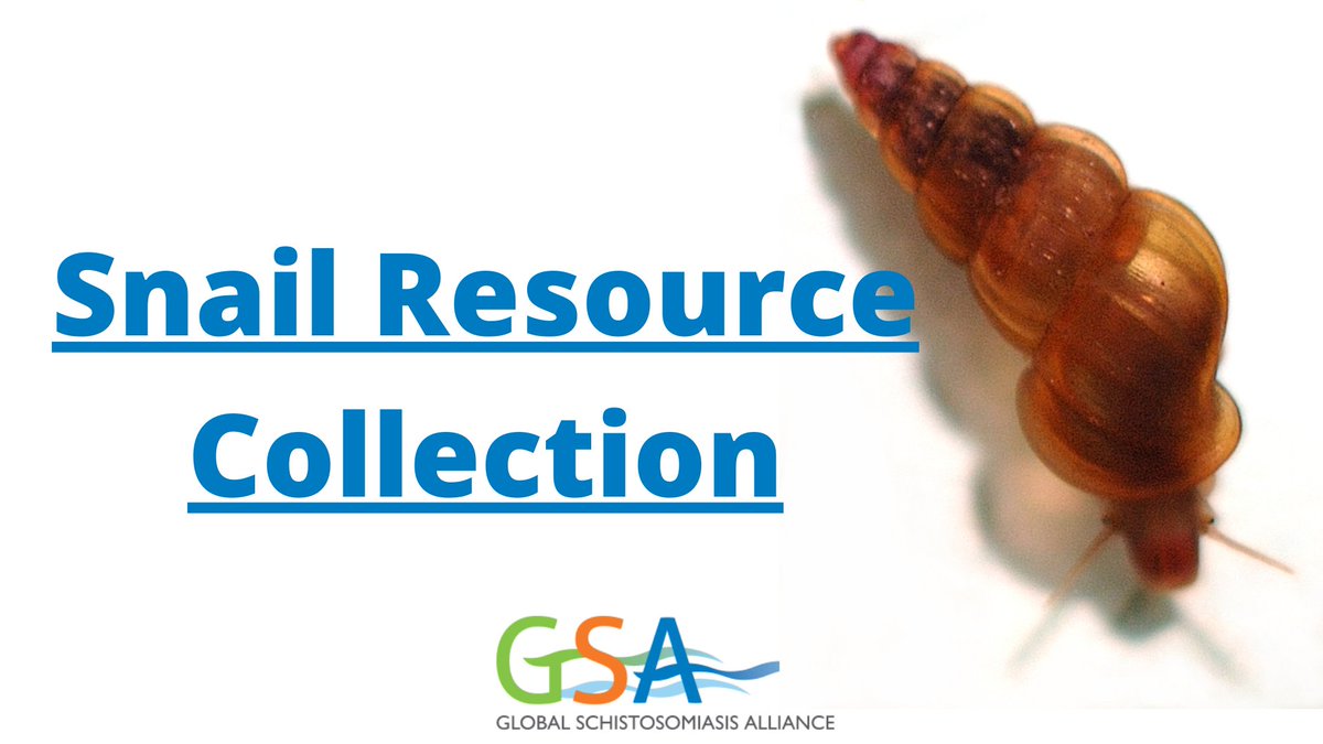 elimin8schisto's tweet photo. ๐to be at the @WHO #GVCR webinar on #IntegratedVectorControl to #BeatNTDs. #DYK that #Schisto is also #VectorBorne? Schistosome species ๐บ๏ธ are based on the๐of their intermediate aquatic snail ๐hosts. Check out our Snail Resource Collection for more https://t.co/fpPtKFfxLz https://t.co/1g86oEVCmA
