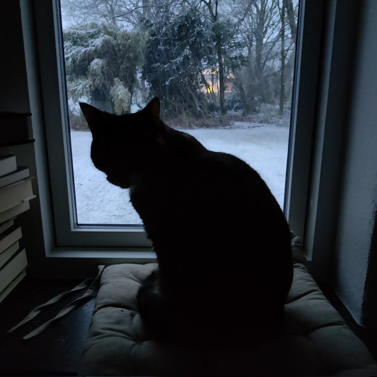 Hylemaskine's tweet photo. Mor, det sner. GØR NOGET! https://t.co/Q8bBFdhqxP