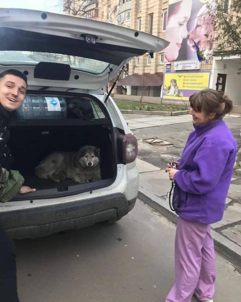 ブチャで破壊された車に中からワンちゃんが見つかりました🥺❤️
本当に無事で良かった🙌

#ブチャ
#ワンちゃん
#ukraine
#bucha
#dog 
#bogdaninukraine https://t.co/fgNRJkSA3r