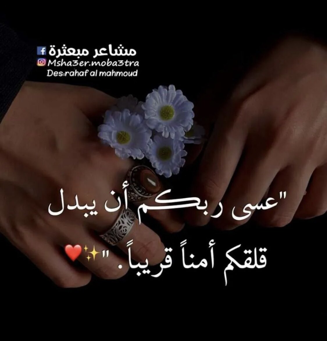 MiaBel96's tweet photo. الحمدلله ♥️🤍 https://t.co/8bDfPOaxLa