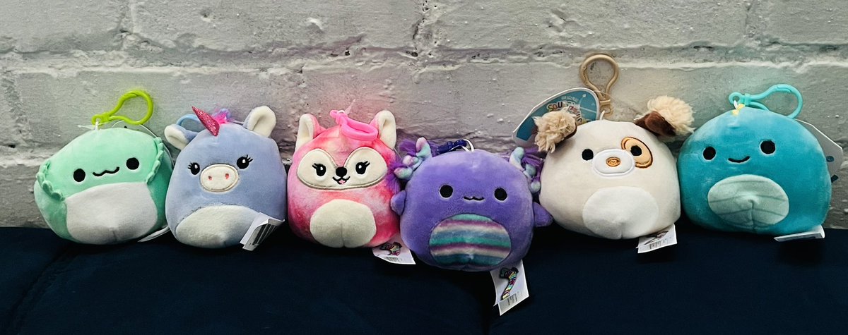 _lilinoe_'s tweet photo. I need out of state squish friends so we can send each other squish mail #Squishmallows https://t.co/cj09Jja3eg