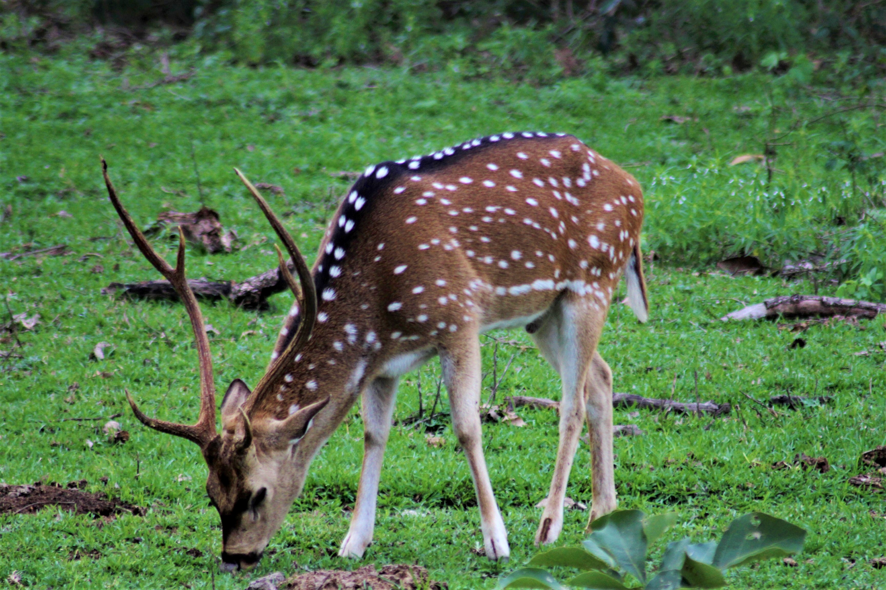 Calendrier Fpo 2023 Calendar - Twitter Arama / Twitter