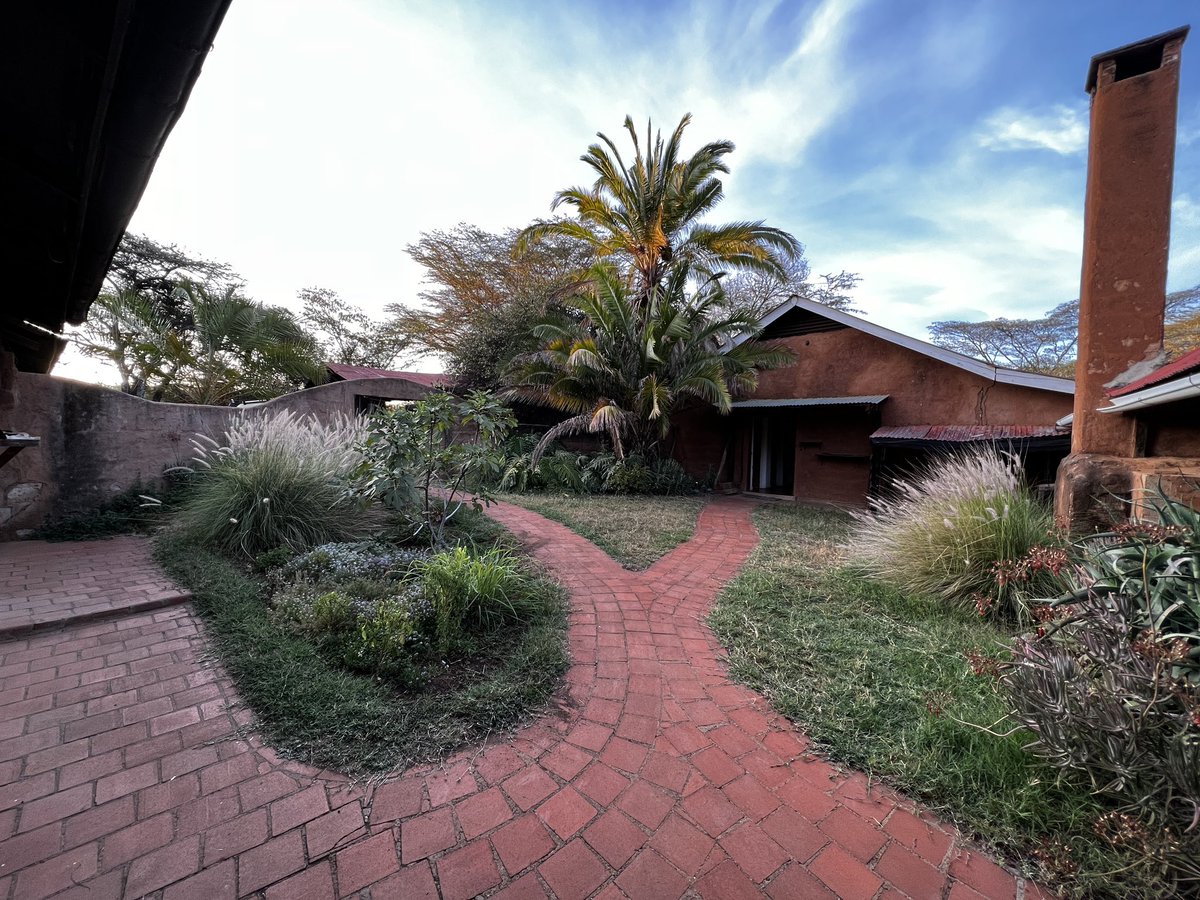 Thomas martienssen tweet media