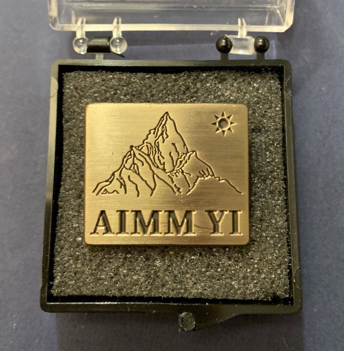 JoyYWu's tweet image. Aww thanks! In honor of 35+ years of the AIMM/@ASBMR John Haddad Young Investigator meeting, all current and previous YI awardees (some of us are no longer so young 😂) received these lovely pins. #AIMM2022