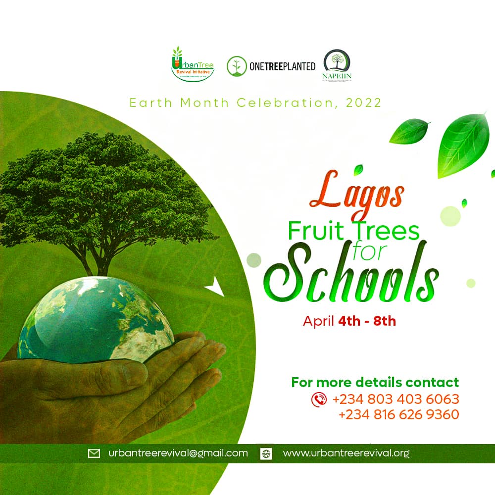 TreeRevivalTeam's tweet photo. Collaborating with @onetreeplanted @DEANinitiative to plant more #fruittrees in schools in #Osun #Anambra #Kano #Abuja #Oyo #Ogun #Lagos state Nigeria
#fruittrees4schools
#earthday #earthday2022 #earthdayiseveryday #earthday๐ #treerevival #saveourplanet #ClimateActionNow https://t.co/9TRwpbuthO