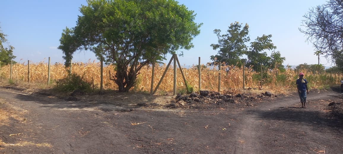 AbuDikah's tweet photo. Prime plots Makutano Mwea
@500k
800m from tarmac
10% deposit balance in 6 months
#MakutanoMwea https://t.co/rXYlZozSuT