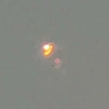 ThaGraceGuru's tweet photo. This 1 single "object" is one bada$$ LED balloon? #LasVegas who makes this product? Who made this and let it fly away in the air on 3/13/22 in Vegas between 1:14p and 1:47pm? 🤭 #ufotwitter @NellisAFB I really do want to know. Just show me where to see this type of balloon tech👀 https://t.co/jdckUQ6MAY
