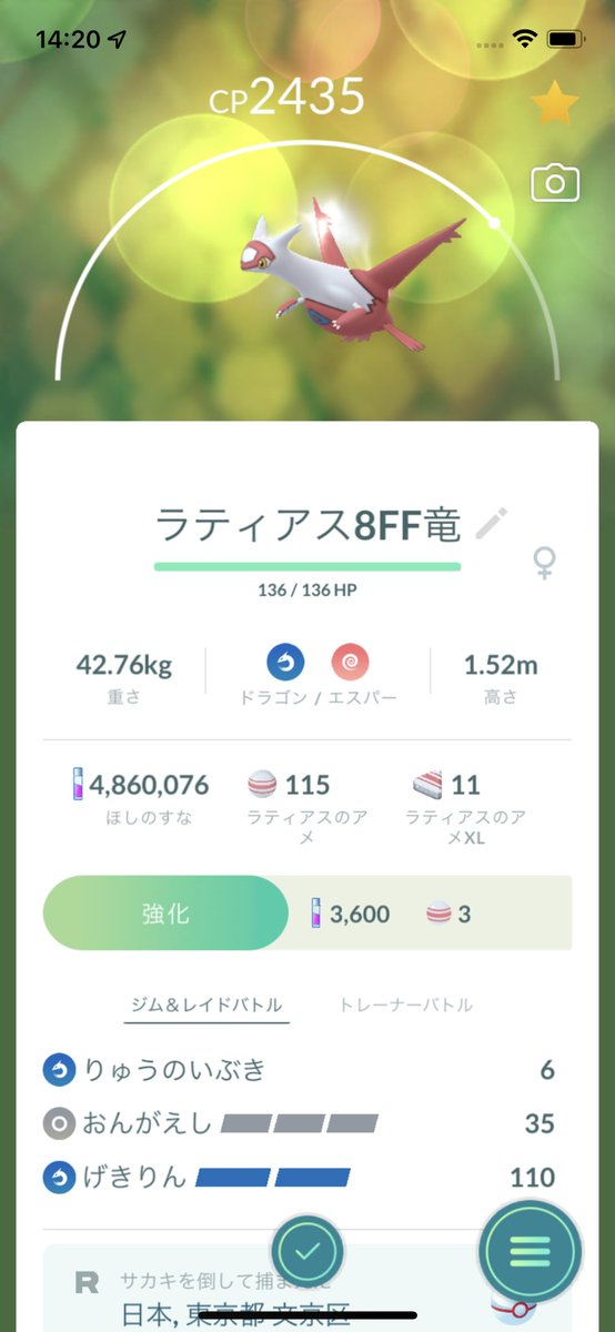 ygg76765's tweet photo. やっぱライトのがラティアスは可愛いよね(*´Д｀*)おんがえしはサイキネにしたいけど、おんがえしのが可愛いよね…消せないなぁって https://t.co/tG0kTeDUBz