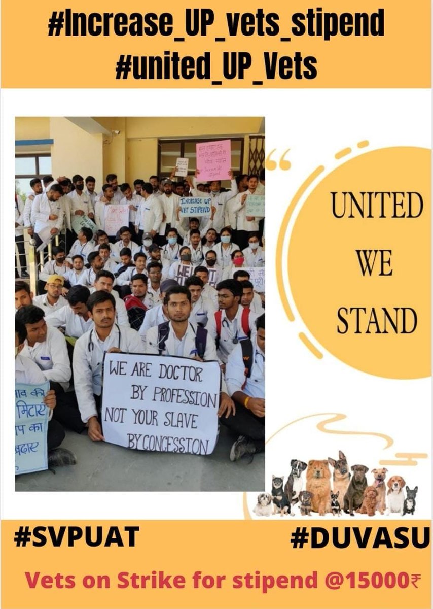 Shainy70918219's tweet photo. हमारा एक ही नारा stipend medical समकक्ष हो हमारा! 
#Increase_UP_vets_stipend
#Duvasu_Vet_Stipend
#SVPUAT_Meerut 
@dharampalbjpmla 
@myogiadityanath @PMOIndia @presidentVCI @PRupala @drsanjeevbalyan @rakesh22440 @ptshrikant @News18UP @WeUttarPradesh @ANINewsUP @Ukm24News https://t.co/d9kCbWgS9c