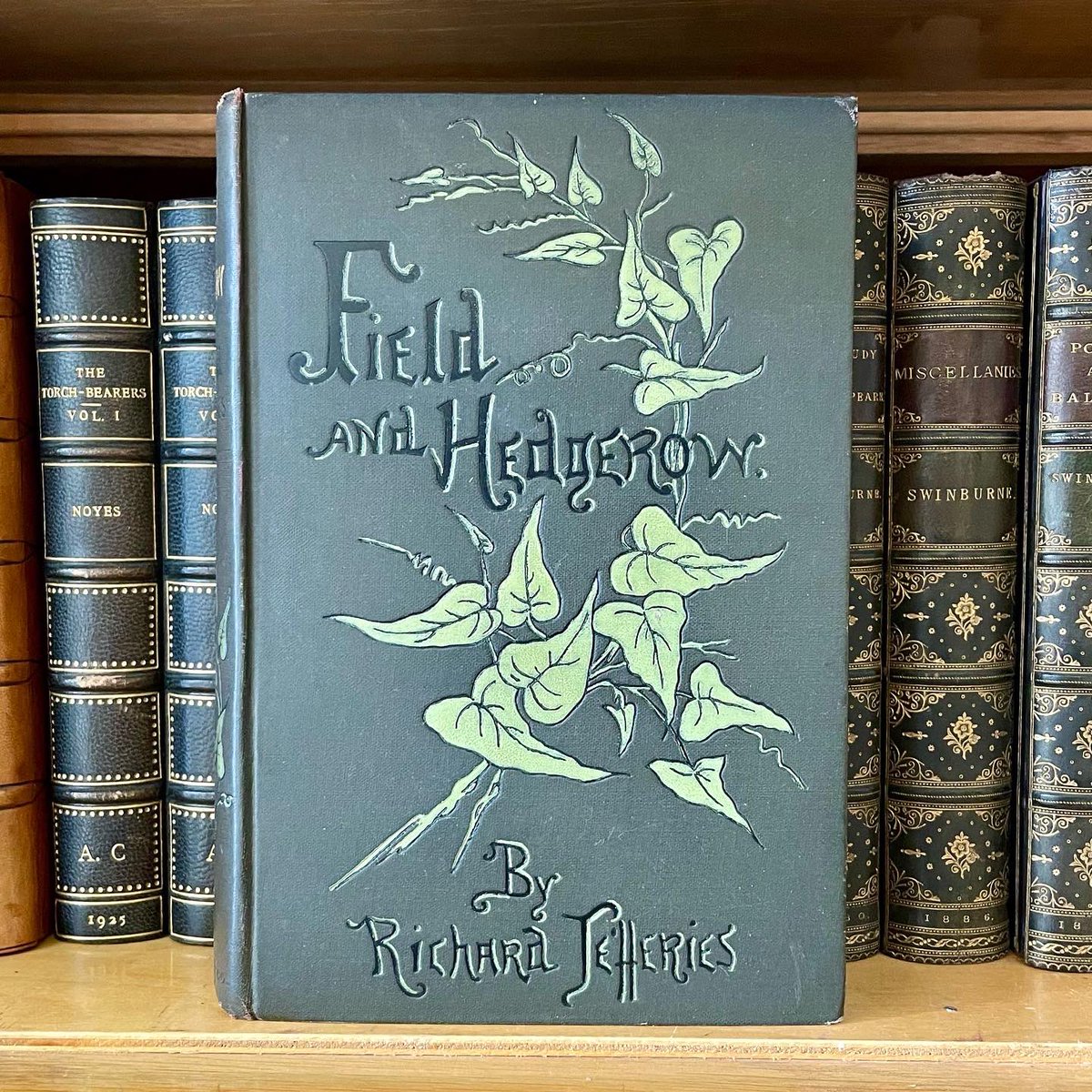 Rookebooks's tweet photo. A first edition work from nineteenth century nature writer John Richard Jeffries, known for his beautiful depictions of rural England in both fiction and non-fiction.

https://t.co/pwggFwRKL1 https://t.co/sP4uKHv9LG