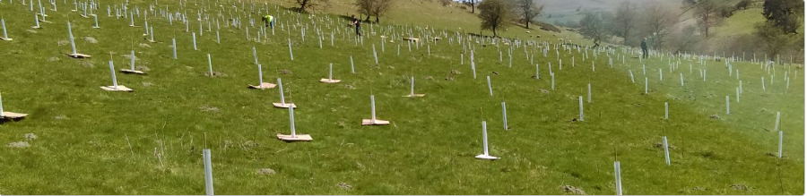 9treesUK's tweet photo. We’re looking for #Volunteers in #Wales to help us with #EcoMatting on the 8th of April. Are you near Llandrindod Wells in #Powys? Come help make some #LocalChange
Visit this site for more details: https://t.co/I9cHUThw9Z
#Nature #Trees #Woodlands #MakingChange #Opportunity https://t.co/LZxIAnfc2n