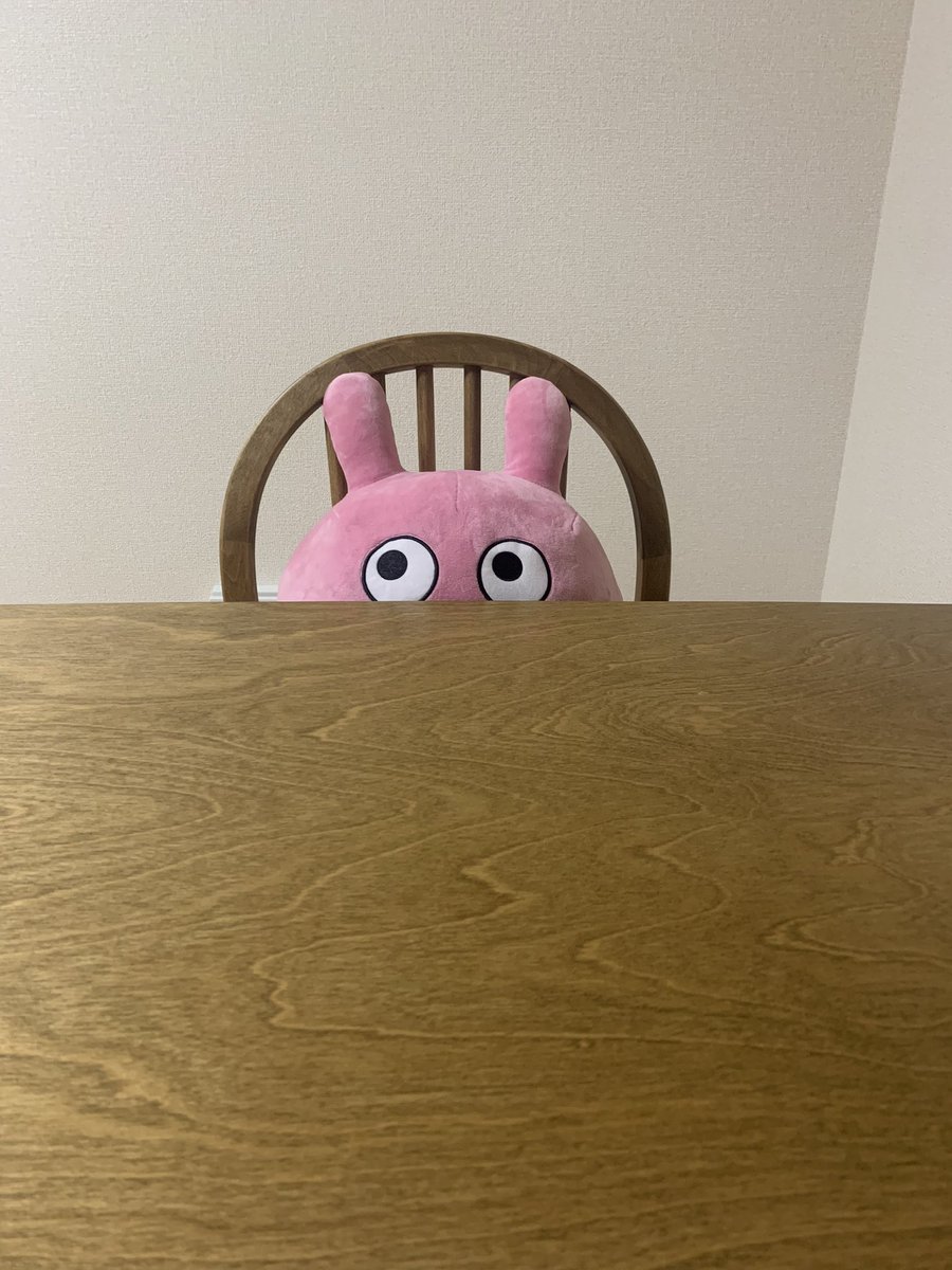 Em_0629's tweet photo. 旦那さんが仕事の日は基本的に夜ご飯1人で食べるから寂しいなぁって思ってたけど、旦那さんの席にこの子座らせたら☺️ってなった。 https://t.co/N5L970Tasq