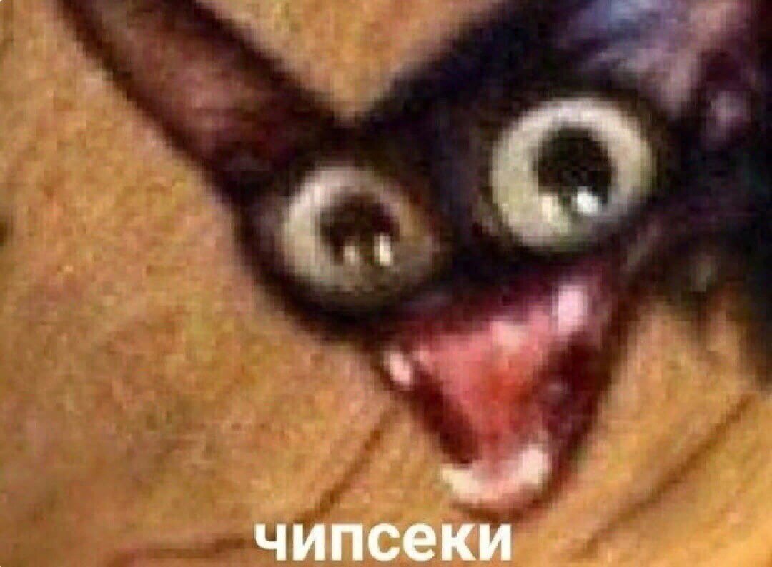 hihikhahak's tweet photo. 🤣 https://t.co/WHQVhfDvHW