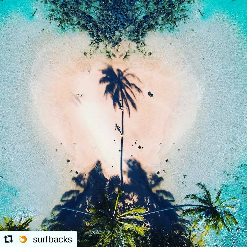 AMINOR_Tokyo's tweet photo. #Repost @surfbacks with @make_repost
・・・
🏝🧡
Follow @surfbacks for more
.
.
Credit: @nashhagen
.
.
#hawaii #hawaiisbest #hawaiilife #beach #surfbacks https://t.co/GDafFYm7yR https://t.co/4yKQRXUzBP
