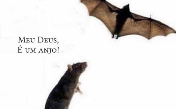 shitpostverdade's tweet photo. https://t.co/xQeEIbUdkT