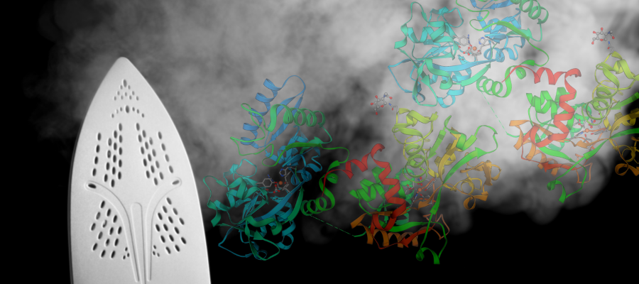 New Research Alert! 🚨🎉 Glycosylation is the process by which sugar structures - called glycans - attach to proteins. Sadly, we don't understand the process well or how it can affect health. New research on our volunteer data irons out some details: ed.ac.uk/viking/researc…