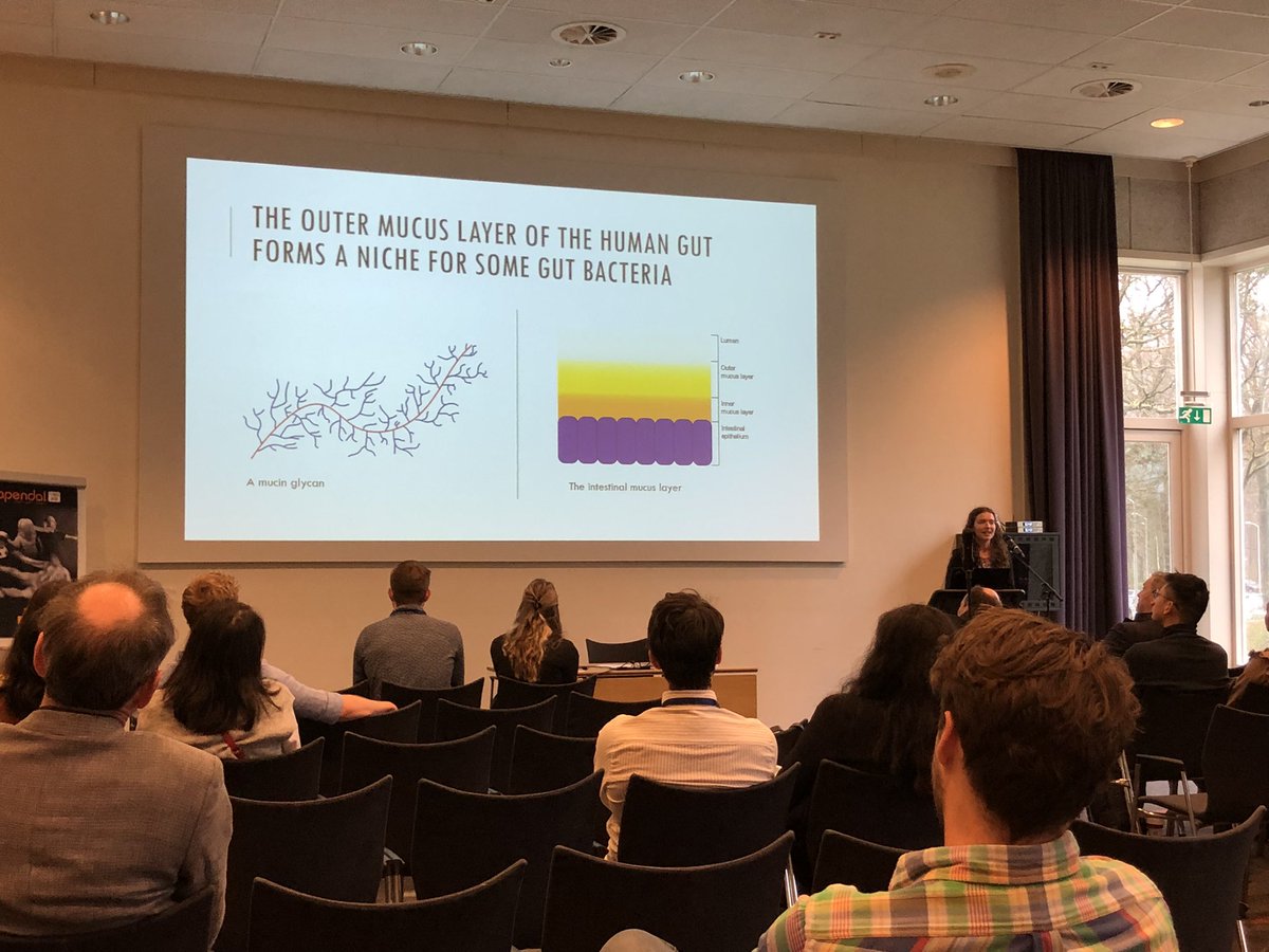 PatriciaGeesink's tweet photo. The second day of #knvm continues with great sessions and talks from @MIB_WUR members. @MaryseBerkhout is presenting her work on cross-feeding in the human gut mucosa in a session hosted by @clarabelzer https://t.co/ijJh298hAV