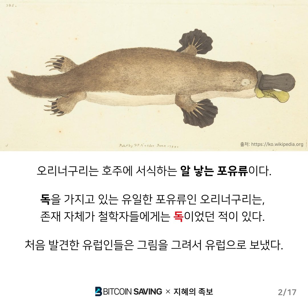 Paul9129's tweet photo. 1. 제목: 오리너구리가 가르쳐 준것
= 비트코인을 제대로 이해하지 못한 이유
*지혜의족보 오태민 작가님의 자료를 재가공하였습니다.
#btcsaving 도 많이 응원부탁드려요 https://t.co/kcLWaXemrK