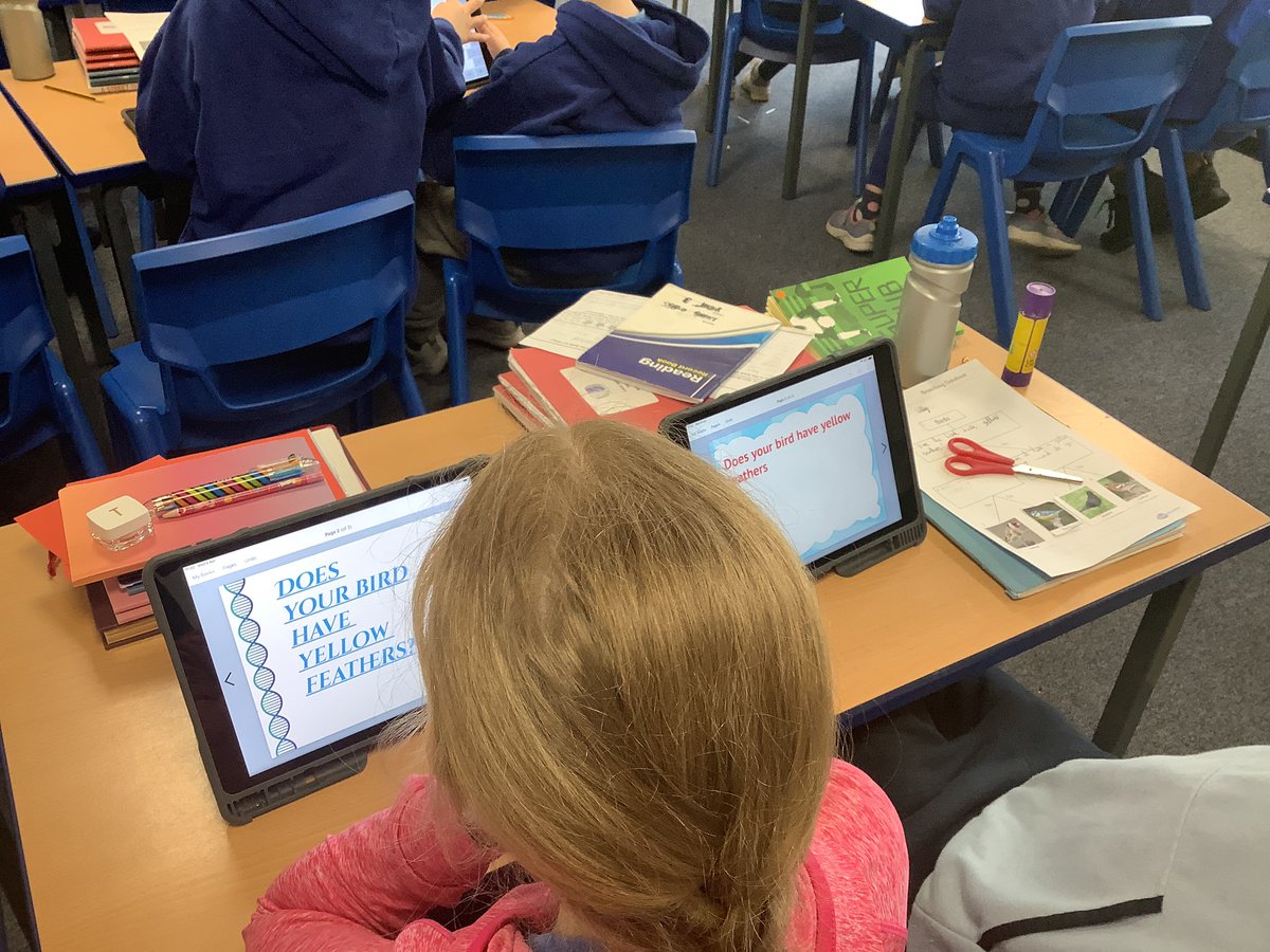 StAgnesY3's tweet image. Wonderful lesson learning about branch databases by Mr Hughes from Gem Education. Creating our own branch database on types of birds and creating our own interactive online quiz on the book creator app #stagnescomputing #stagnesscience #stagnesenrichment #stagnesmaths