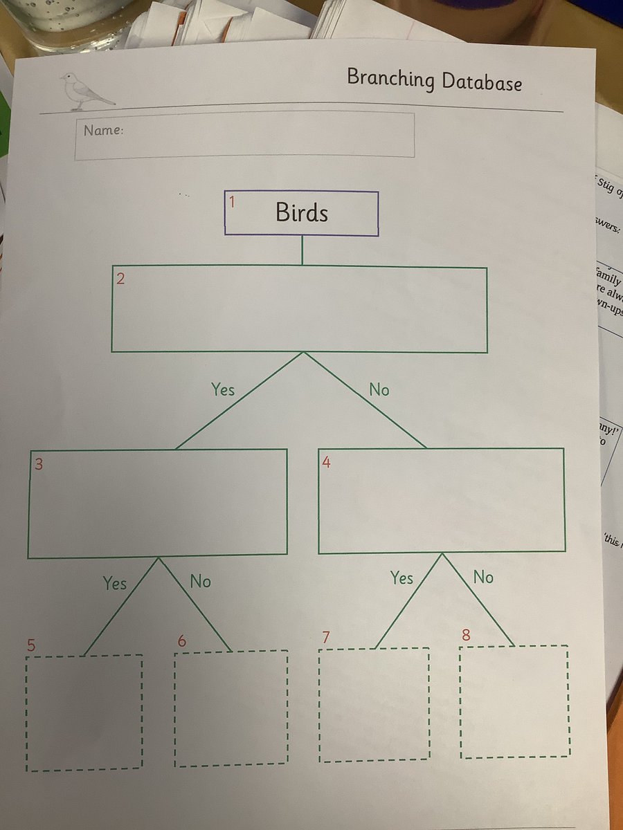 StAgnesY3's tweet image. Wonderful lesson learning about branch databases by Mr Hughes from Gem Education. Creating our own branch database on types of birds and creating our own interactive online quiz on the book creator app #stagnescomputing #stagnesscience #stagnesenrichment #stagnesmaths