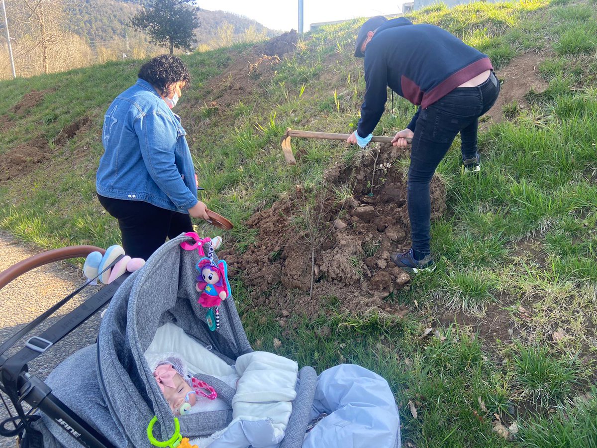 hospiolot's tweet photo. 🌳Durant aquest matí més de cinquanta famílies s'han apropat a #hospiolot per plantar el seu plançó dins el marc del projecte "Un nadó, un arbre" 

#pediatria #hospiolot https://t.co/waVBVTspcr