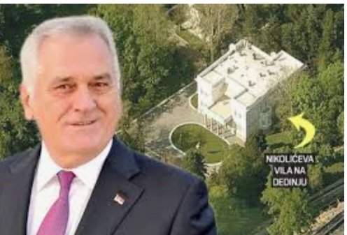 TSelenic's tweet photo. Za početak ako Beograd bude oslobodjen ovog parazita izbaciti ko govno iz naše kuće na Dedinju👍😂 https://t.co/iOiD51y6c1