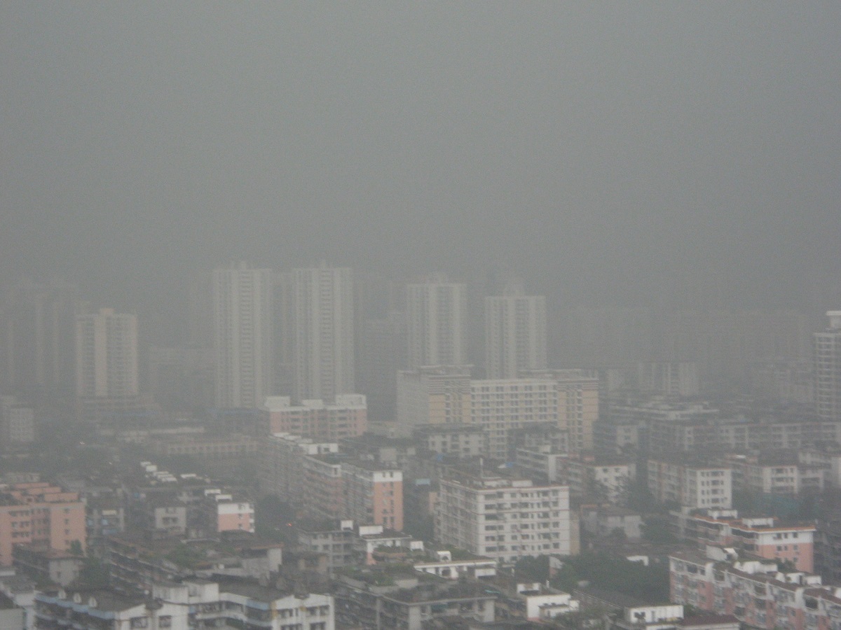 ODF LED LIGHT tweet media