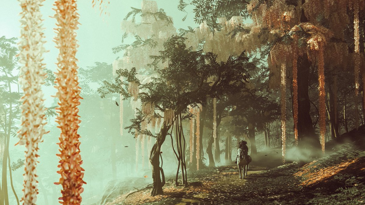 coalabr14's tweet image. Landscape Photography 

#LGF22VPchallenge