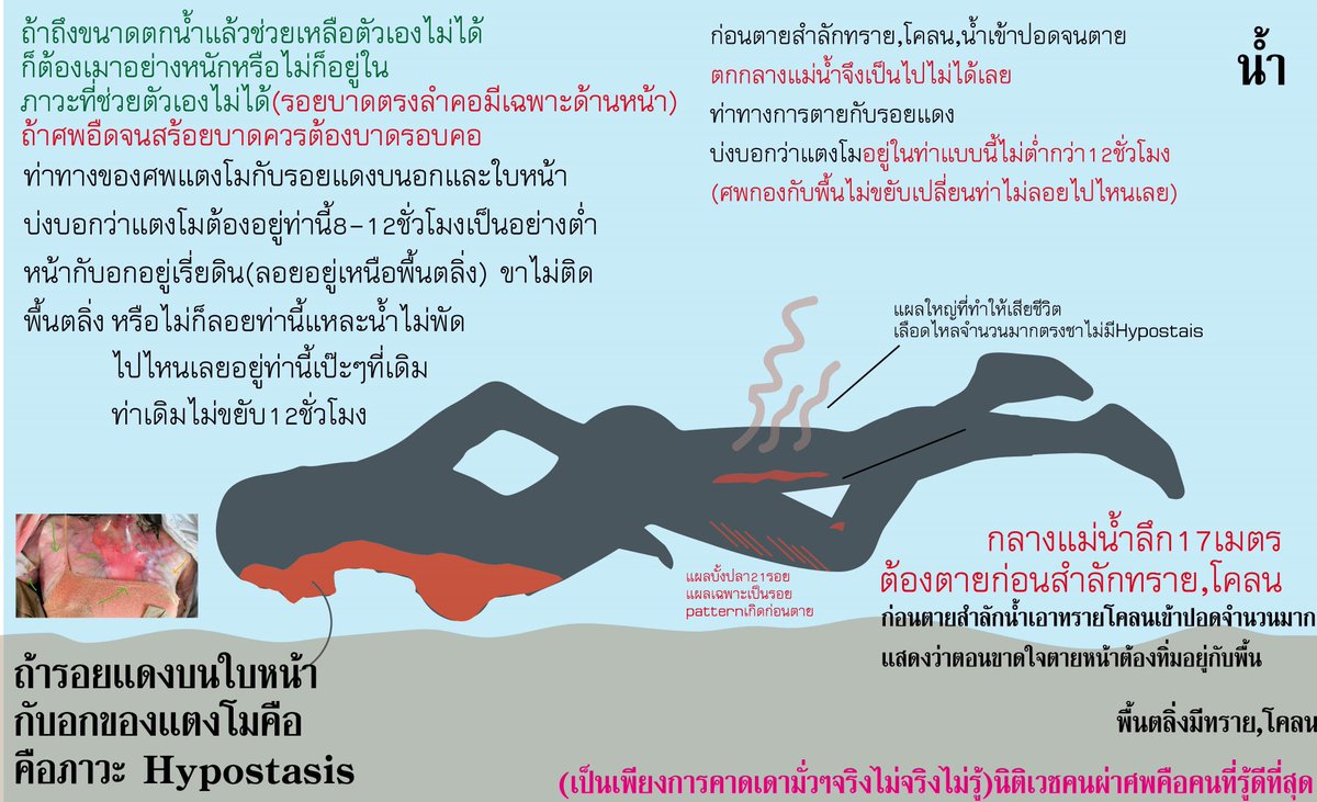 Cpgr79203's tweet photo. แผลจาก ศพที่ ตำรวจ ต้อง ตอบคำถามสังคม  ทั้ง หน้า คอ หน้าอก ขา ดินโคลนในปอด น้องจมน้ำธรรมชาติ หรือ ถูกทำให้จม  #แตงโมต้องได้รับความเป็นธรรม https://t.co/padRsu4U2h