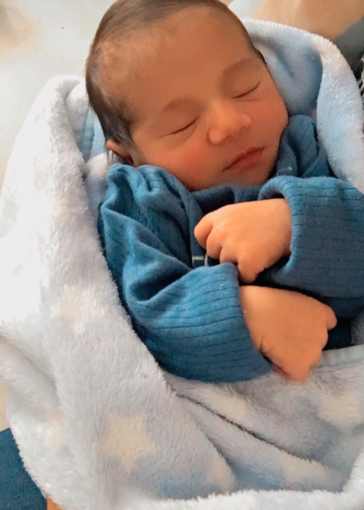 viqqq_'s tweet photo. Apresento a vocês, meu novo amor. Noah… 💙 https://t.co/Jsb5V1VBsk