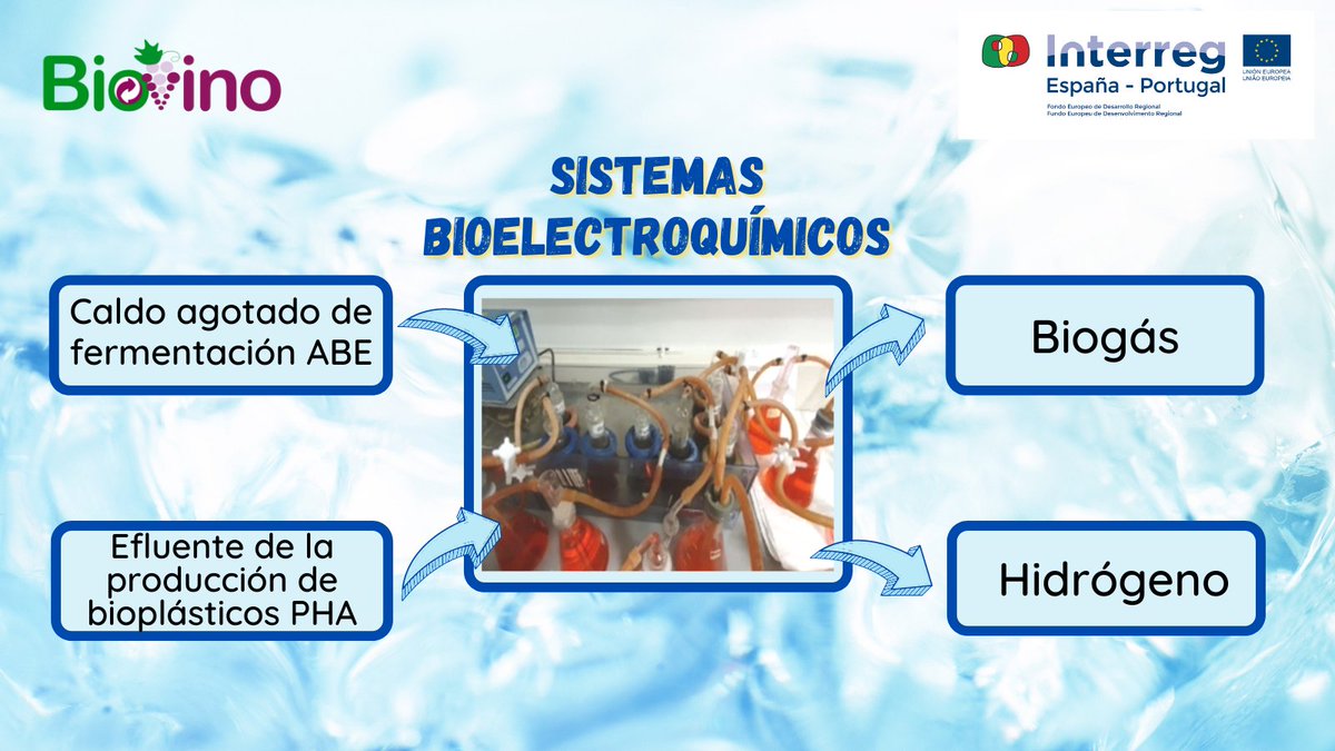 Proyecto Biovino tweet media