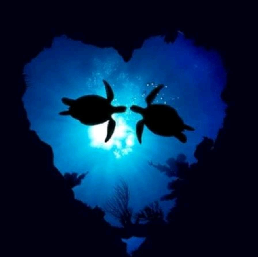 당신을 사랑하는 사람을 사랑하고 당신을 소중히 여기지 않는 사람을 잊어 버리십시오.