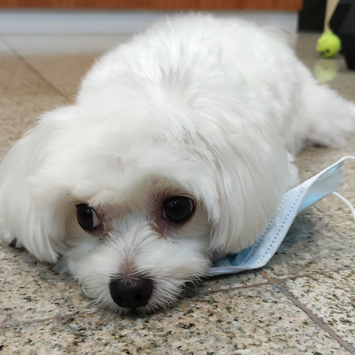 ScareddyKat tweet media