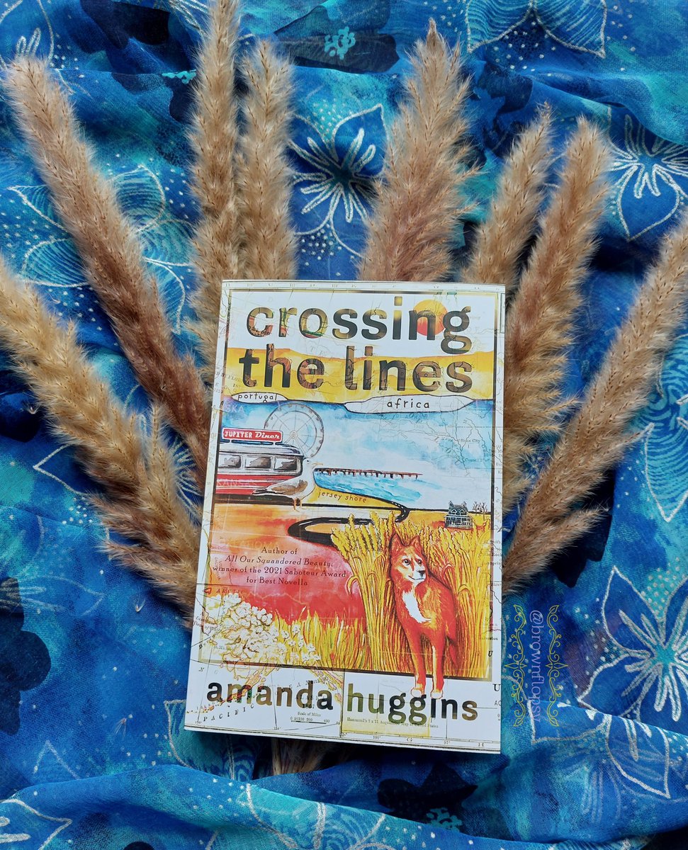 brownflopsy's tweet photo. Welcome to my review of #CrossingTheLines the latest wonderful novella by @troutiemcfish from @VictorinaPress
With only $20, Molly sets out from Oakridge Farm, relying on luck & the kindness of strangers to make her way back home across five state lines.
https://t.co/t2zmWYUZI4 https://t.co/5WF5Ipnjn0