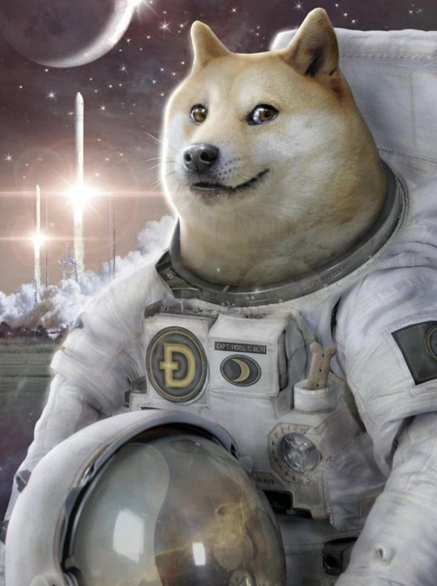 CurationMostly 📚📝🧩🍄👩‍🚀🚀📈 tweet media