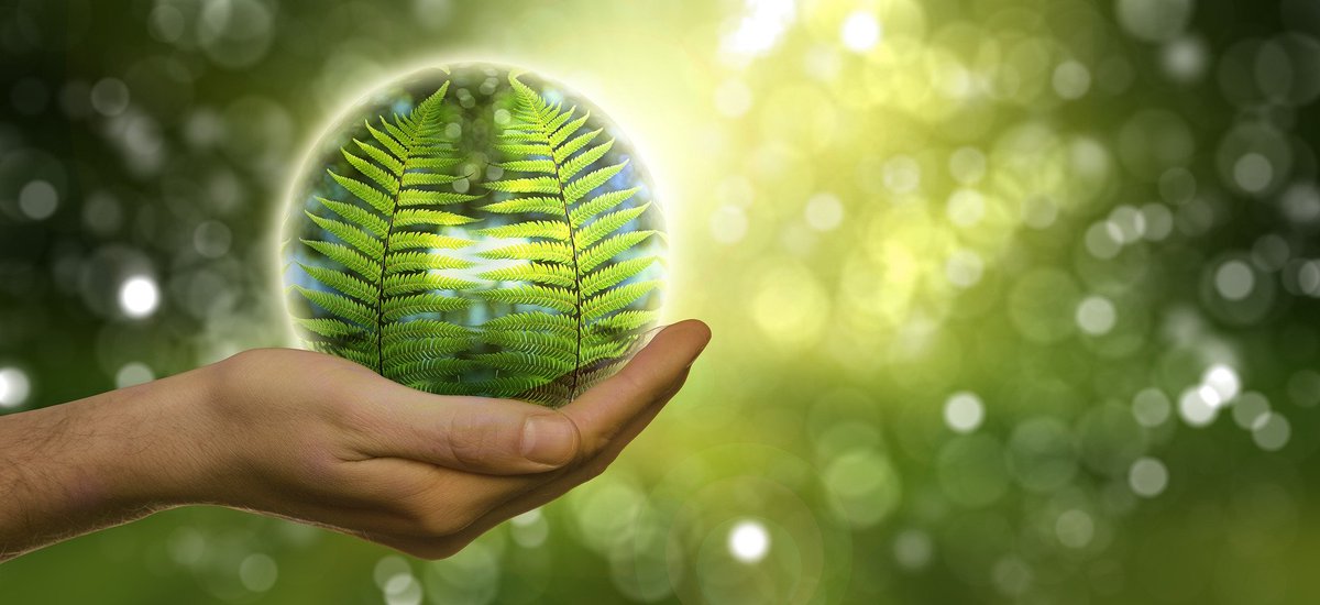 estamos estrenando nuestra online donde podras comprar y encargar todos los productosde nuestra tienda de productos ecologicos @coaggreen.entra y haz tu pedido #huerttaecologica #verdura #enviodomicilio

bit.ly/3KvchYx