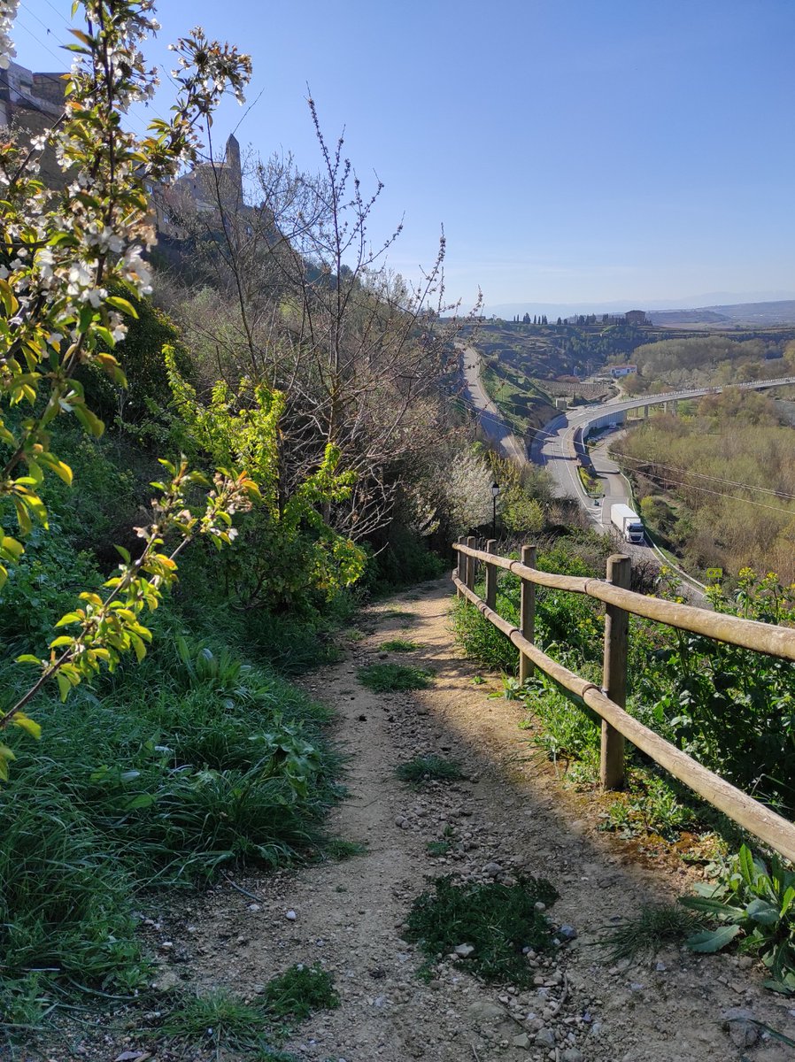 Buen día  para pasear por #SVSonsierra #LaRioja. Recuerda que abrimos la oficina de turismo de 10 a 14 horas.  Consulta nuestra web 🖥️ svsonsierra.es o llama al 📞 teléfono 609 274 488 📧 info@svsonsierra.es. #destinoseguro #temerecesLaRioja #viajarseguro #turismo #2022