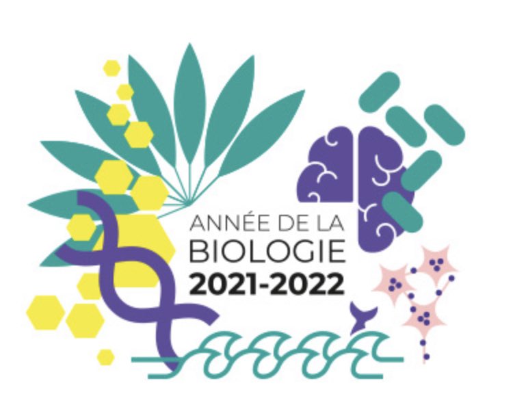 EXEBIO (@exebio_pia) on Twitter photo La matinée se termine avec l’intervention de Jean-Hugues Renault du laboratoire <a href="/ICMR_UMR7312/">ICMR_UMR7312</a> et Manuel Dauchez du laboratoire #MEDyC de l’<a href="/universitereims/">Université de Reims Champagne-Ardenne</a> sur le développement d’un outil de docking inverse pour le screening de molécules à cible biologique🎤 <a href="/CNRS_Centre_Est/">CNRS Centre-Est</a> La matinée se termine avec l’intervention de Jean-Hugues Renault du laboratoire <a href="/ICMR_UMR7312/">ICMR_UMR7312</a> et Manuel Dauchez du laboratoire #MEDyC de l’<a href="/universitereims/">Université de Reims Champagne-Ardenne</a> sur le développement d’un outil de docking inverse pour le screening de molécules à cible biologique🎤 <a href="/CNRS_Centre_Est/">CNRS Centre-Est</a>