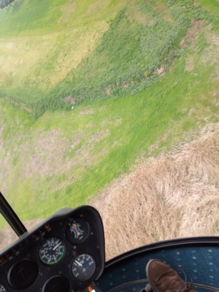 FabGiagnoni's tweet photo. IN #VOLO! XD

#Volere #Volare

#Elicottero #Helicopter #Elicotteriamo #ToFly #HelLicopter #FlyTogether https://t.co/dQ6Sf6nFIc